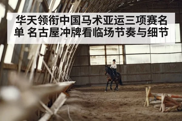 dressage horse rider arena