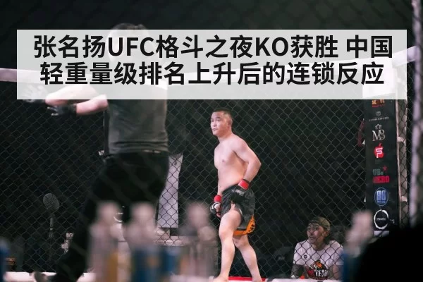 UFC octagon fight night